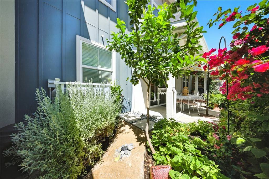 Buellton, CA 93427,553 Oakville DR