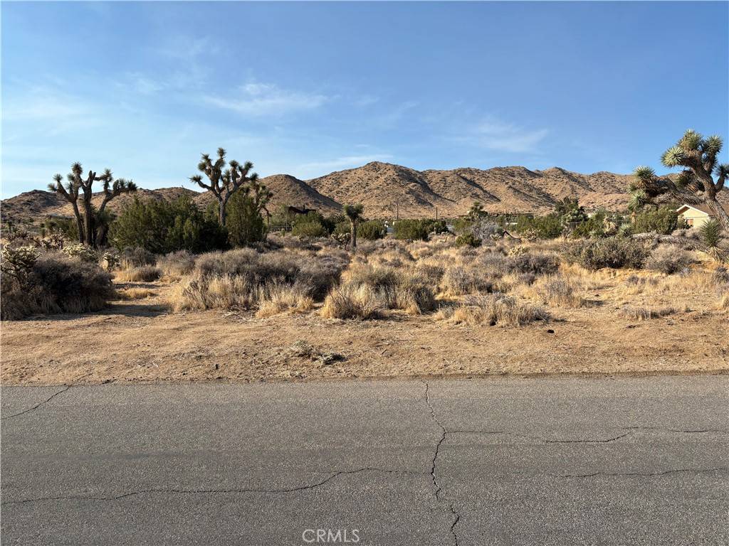 Yucca Valley, CA 92284,0 San Andreas RD