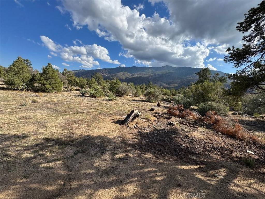 Pinyon Pines, CA 92561,0 Dolomite