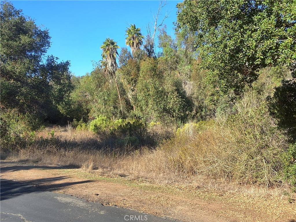 Bonsall, CA 92003,0 Via Puerta Del Sol