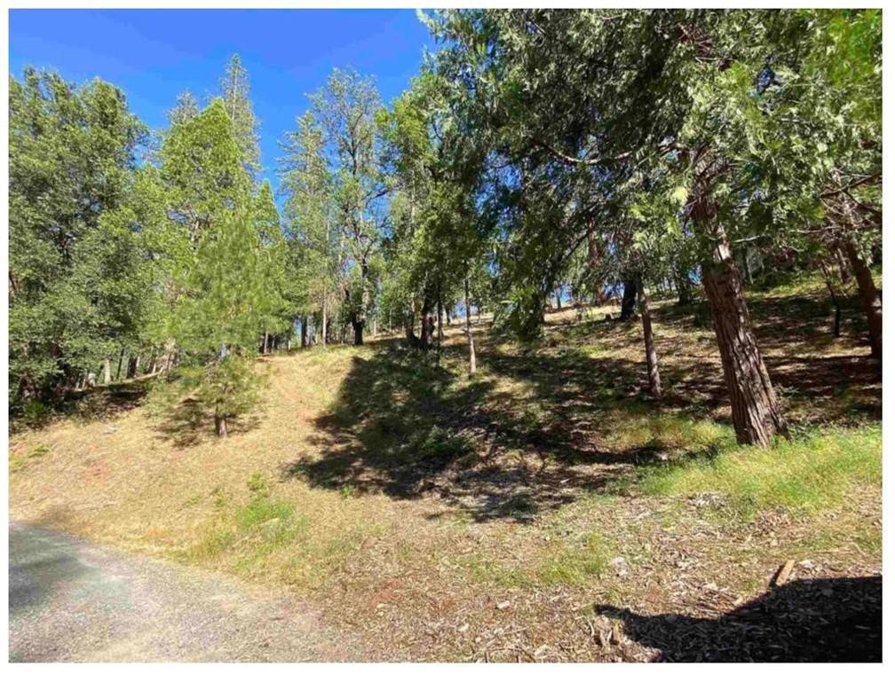 Groveland, CA 95321,0 Pine Mountain DR