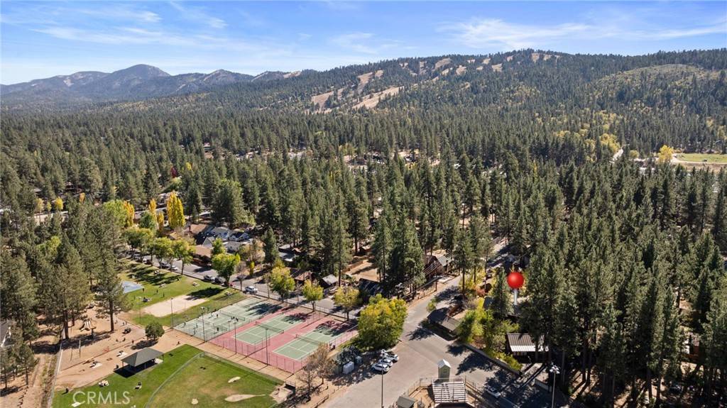 Big Bear Lake, CA 92315,41307 Park Avenue