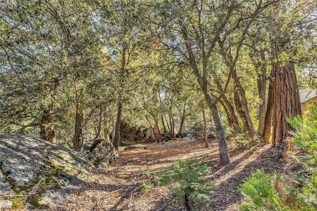 Idyllwild, CA 92549,0 Jeffery Pine Rd.