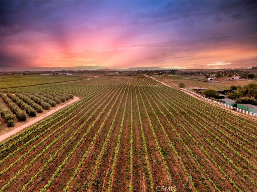 Temecula, CA 92592,40125 Camino Del Vino