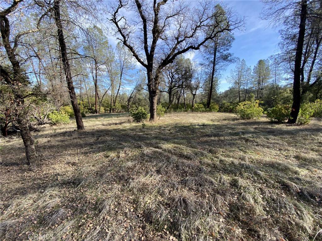 Corning, CA 96021,15785 Placer CT