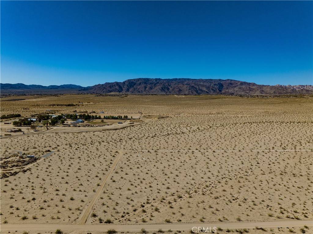 29 Palms, CA 92277,0 Fremontia