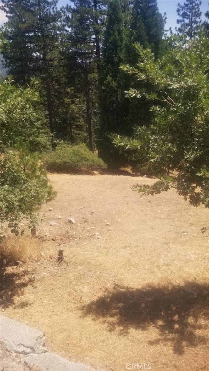 Running Springs, CA 92382,31533 Circle View DR