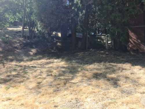 Crestline, CA 92325,24814 Edelweiss DR