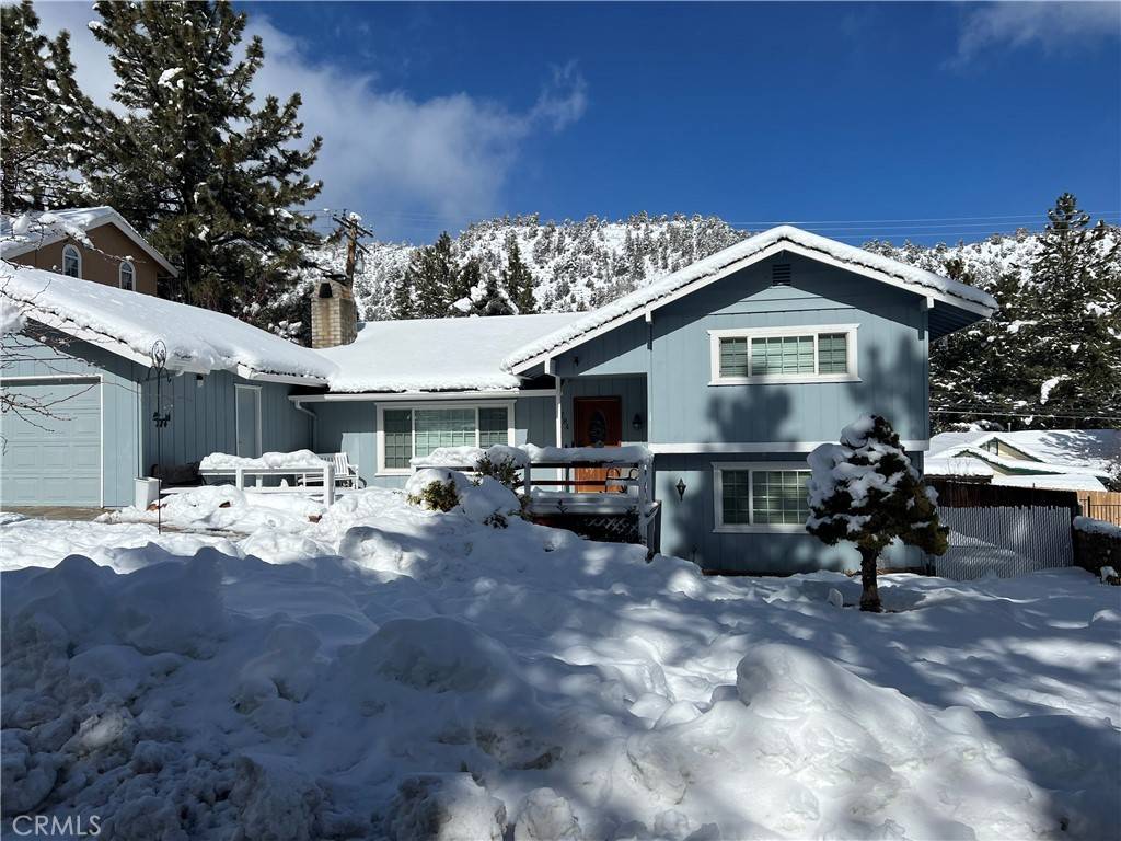 Wrightwood, CA 92397,784 Apple AVE