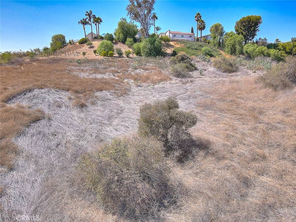 Phillips Ranch, CA 91766,25 Franciscan