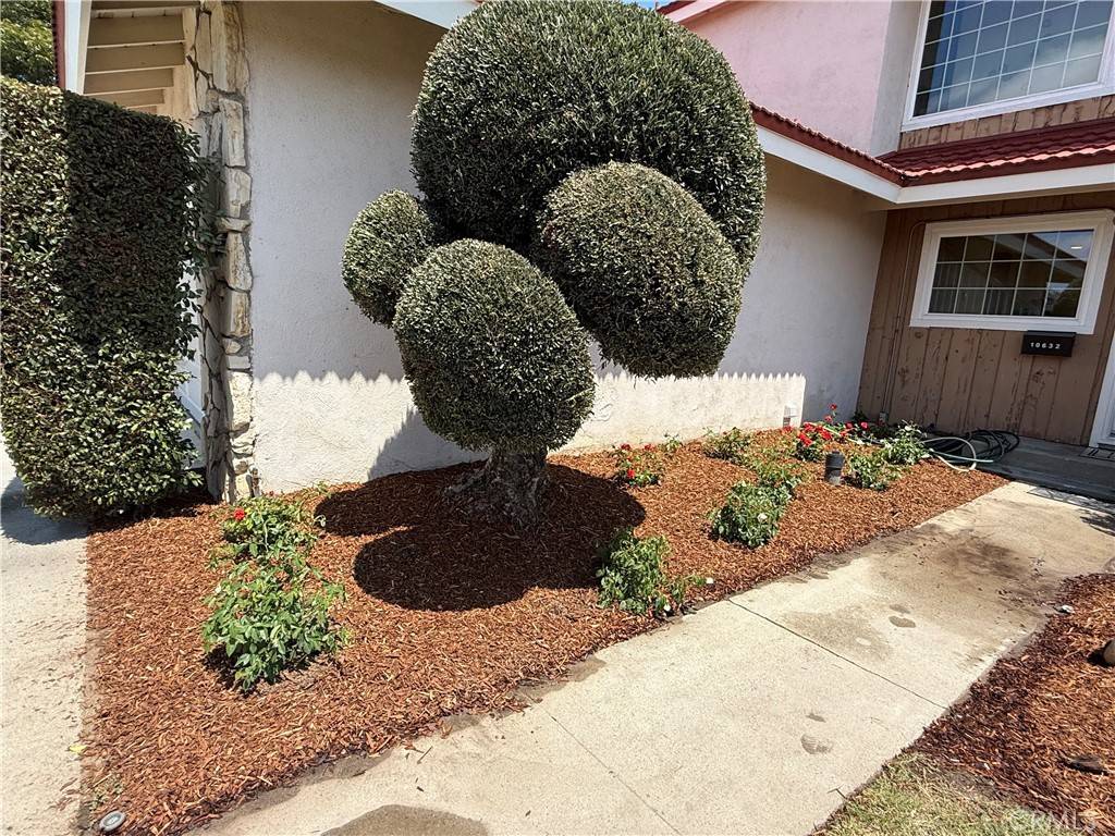Cypress, CA 90630,10632 Tammy ST