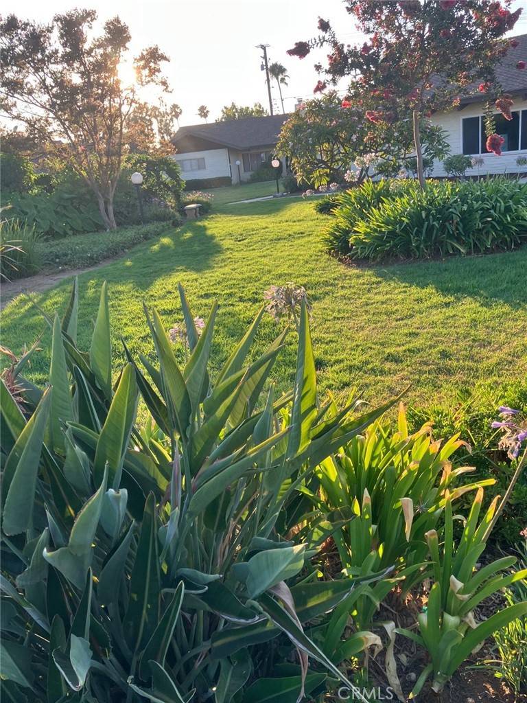 Yorba Linda, CA 92886,5076 Lakeview AVE #39