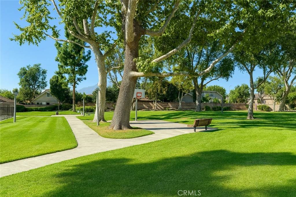 Chino, CA 91710,4466 Lidia CT