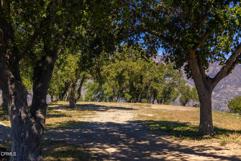 Ojai, CA 93023,Address not disclosed