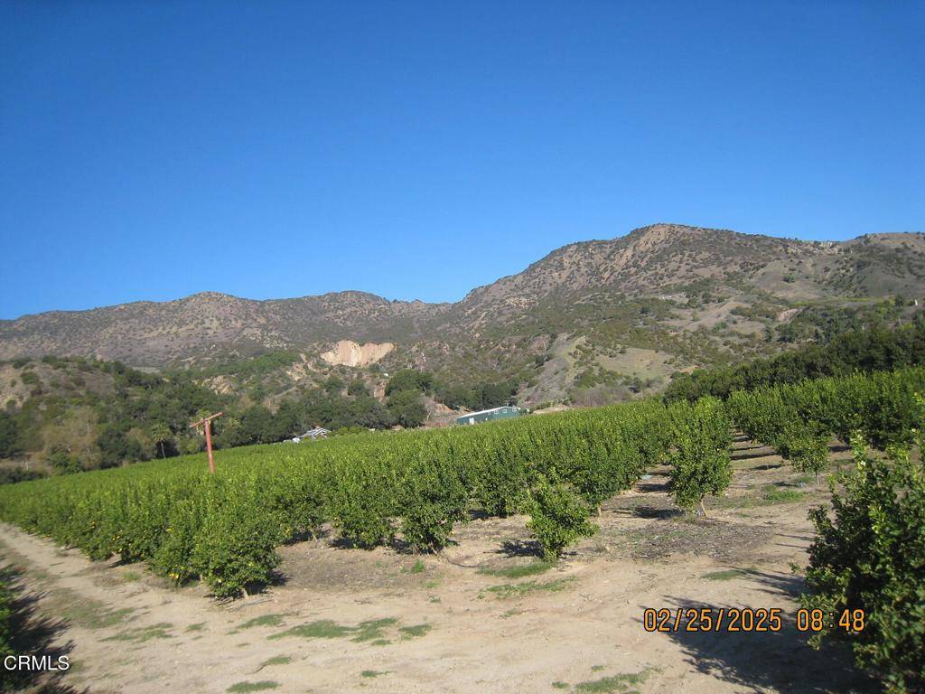 Fillmore, CA 93015,0 Grand AVE