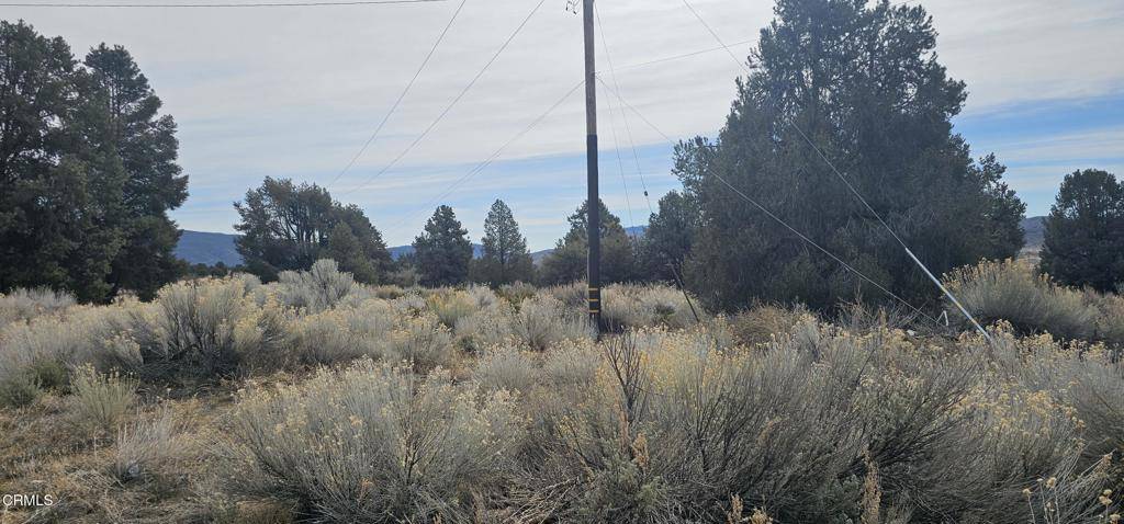 Frazier Park, CA 93225,0 Boy Scout Camp RD
