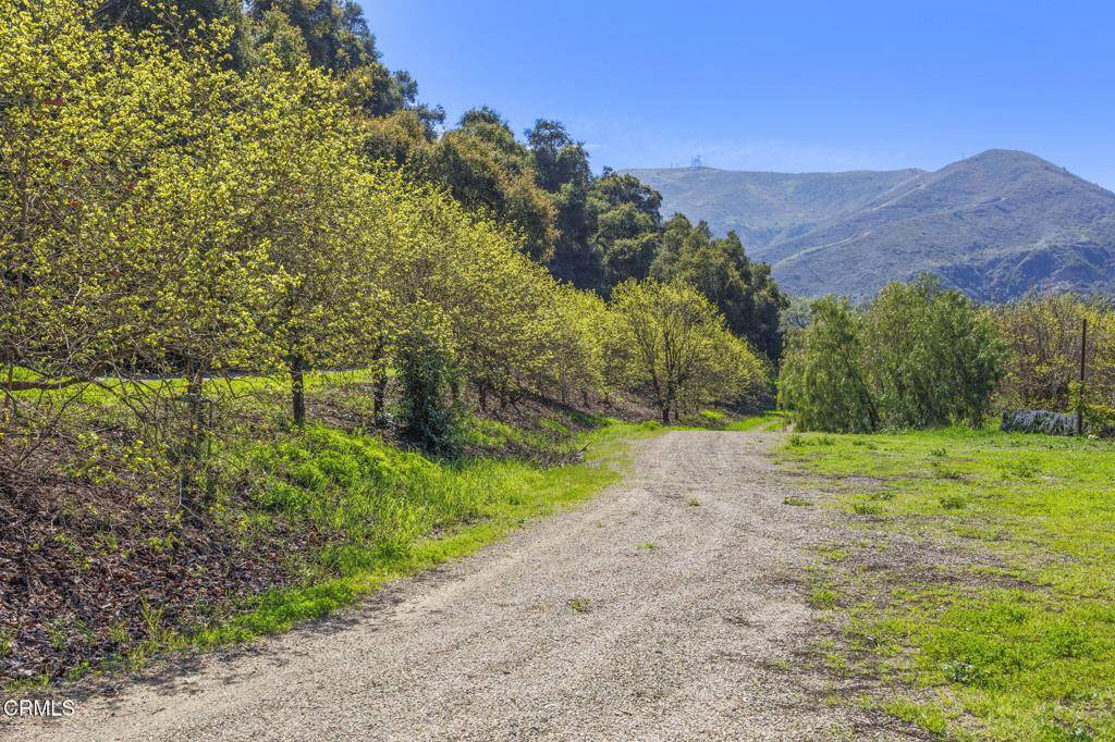 Ventura, CA 93001,4620 Casitas Pass RD