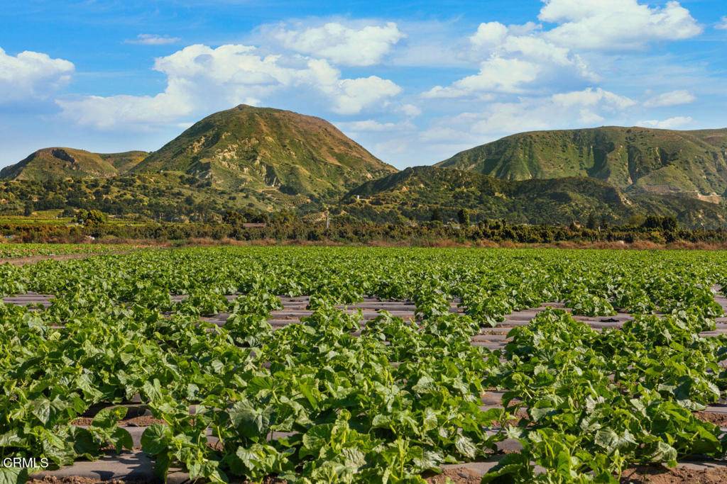 Fillmore, CA 93015,583 Ojai ST