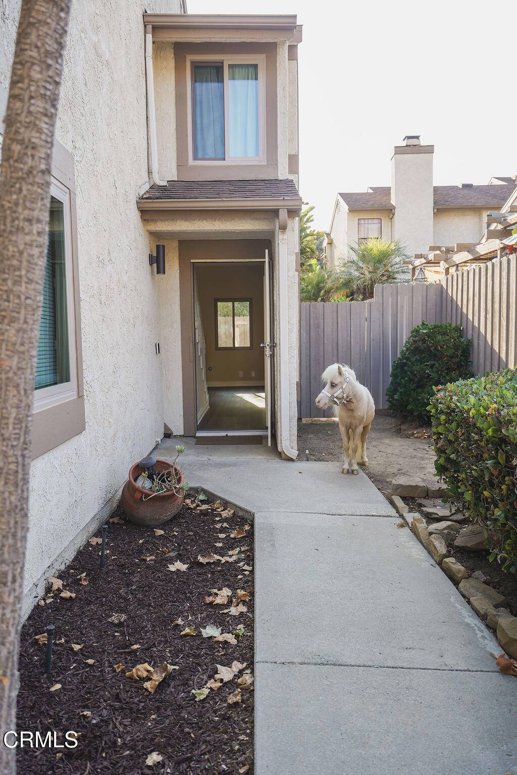 Ventura, CA 93001,2321 Pima LN