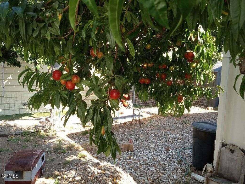 Santa Paula, CA 93060,500 W Santa Maria #43