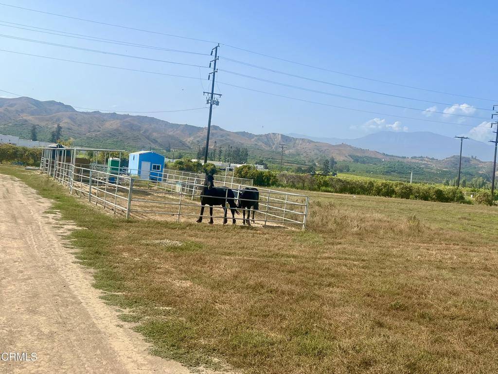 Santa Paula, CA 93060,13717 W Telegraph RD