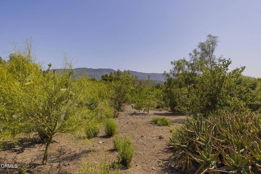 Ojai, CA 93023,1 Henderson RD