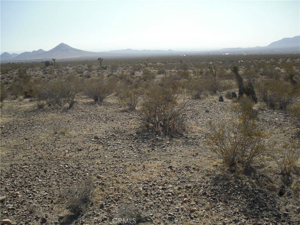 Apple Valley, CA 92307,0 Stoddard Wells RD