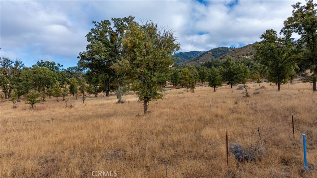Tehachapi, CA 93561,17701 Alps DR