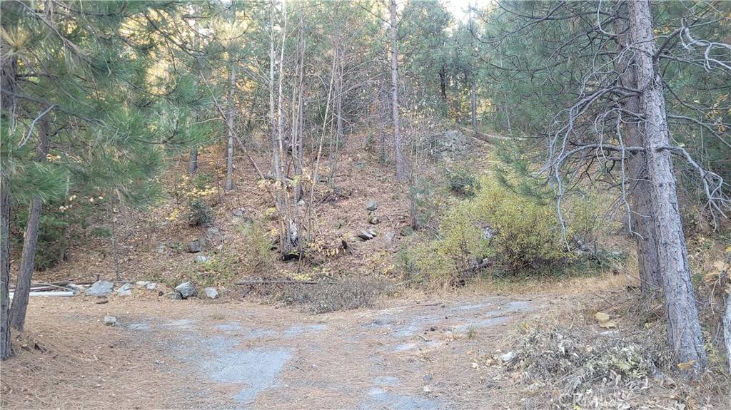 Crestline, CA 92325,0 Water DR