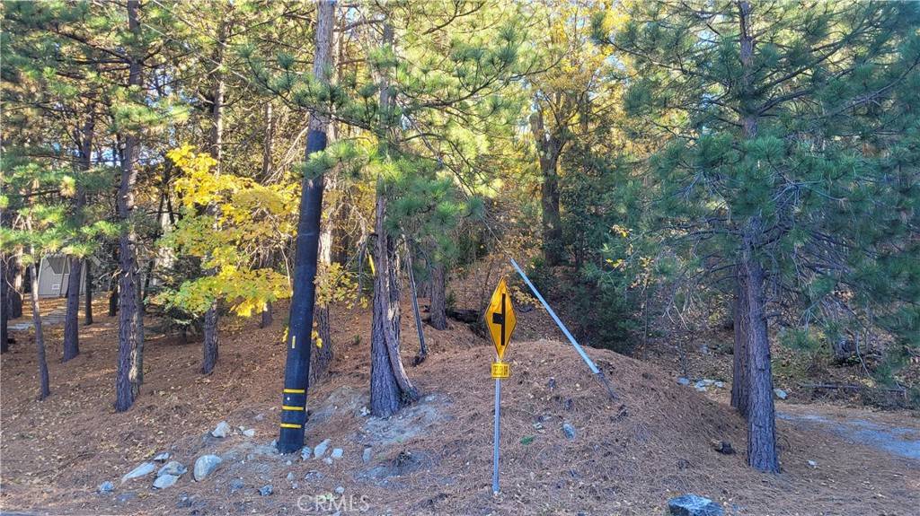 Crestline, CA 92325,0 Water DR