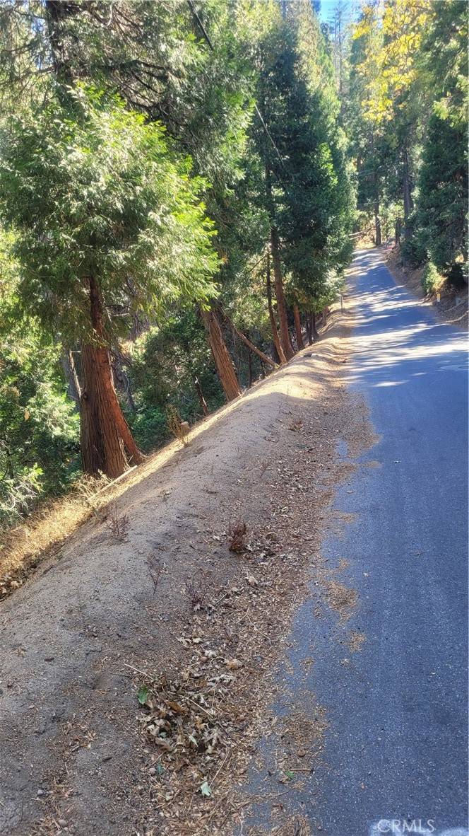 Crestline, CA 92325,0 Bernard DR