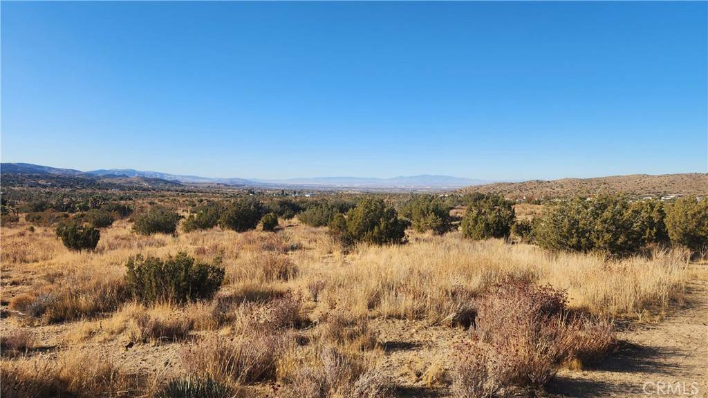 Pearblossom, CA 93553,0 x8 / 121