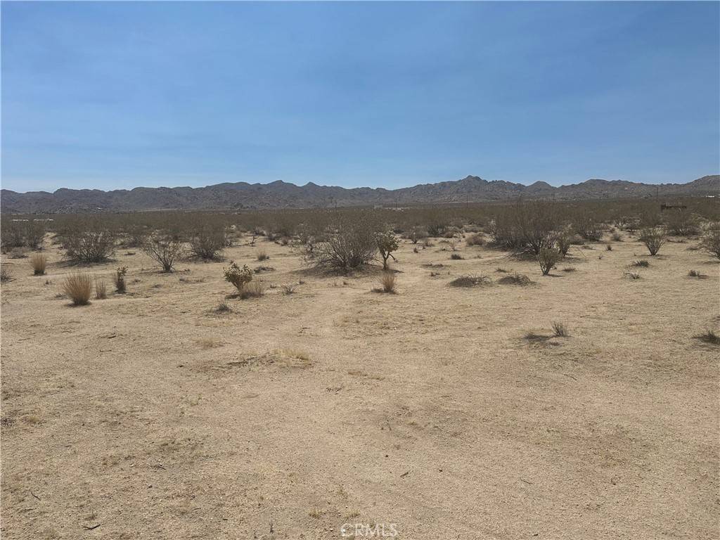 Joshua Tree, CA 92252,0 29 Palms Highway 62
