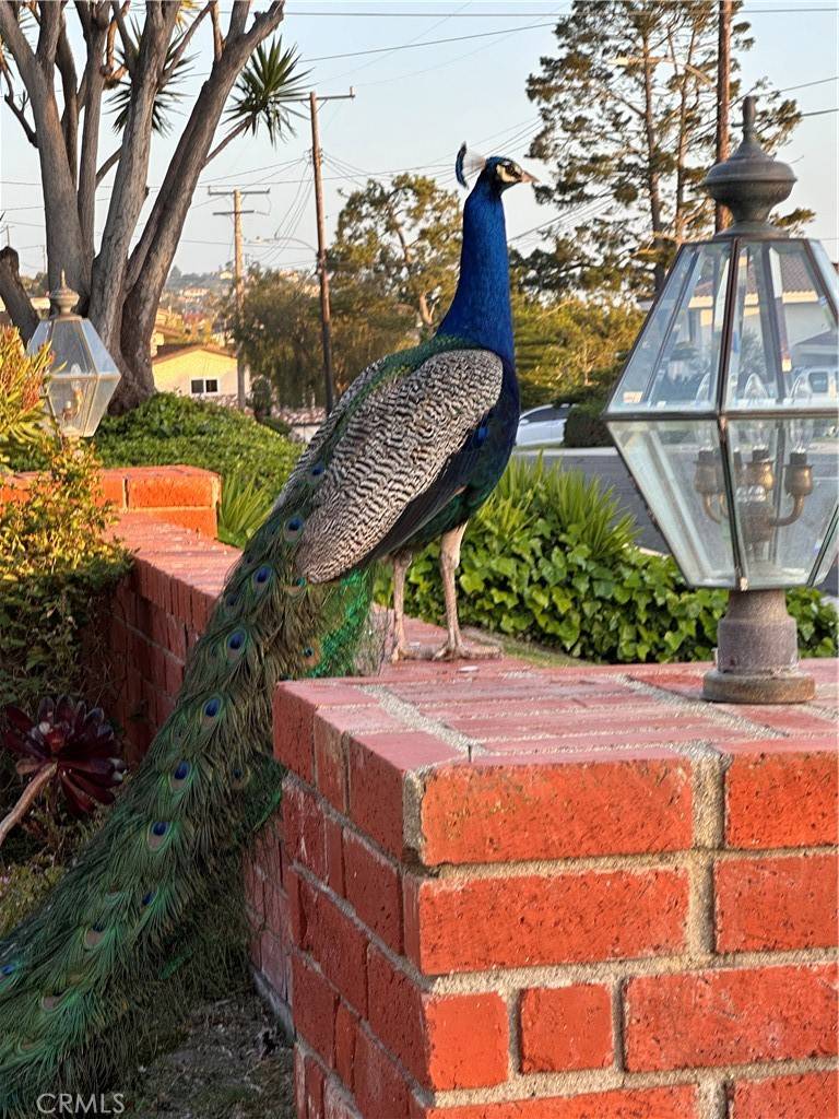 Rancho Palos Verdes, CA 90275,28068 Braidwood DR