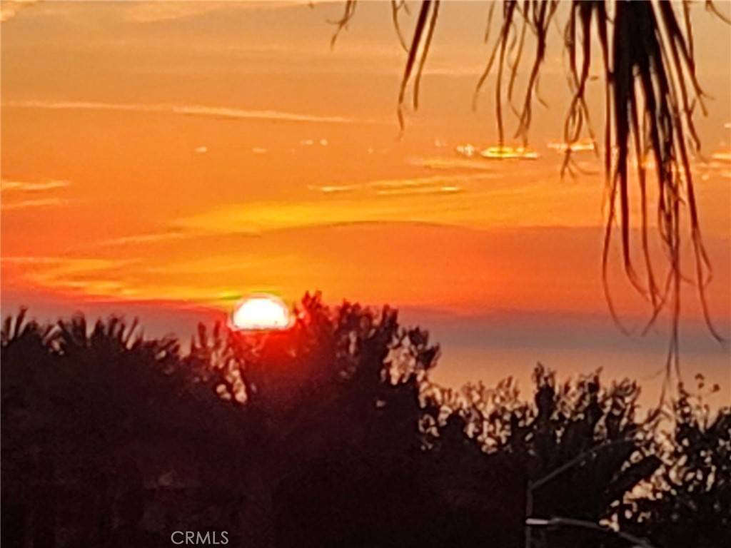 Dana Point, CA 92629,87 Palm Beach CT