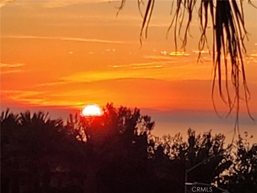 Dana Point, CA 92629,87 Palm Beach CT