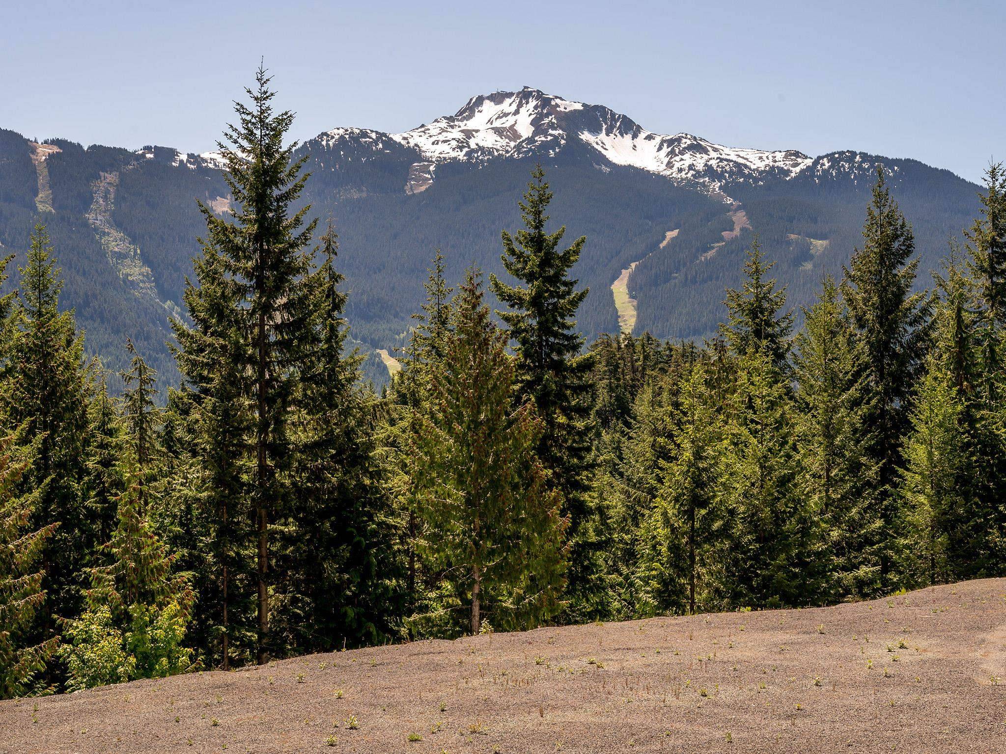 Whistler, BC V8E 0V9,5459 Stonebridge PL