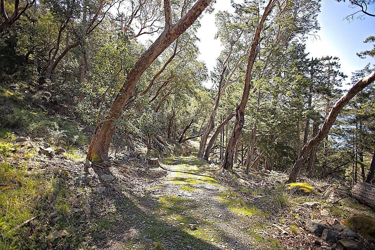 Salt Spring Island, BC V8K 0A3,206 Narrows West RD