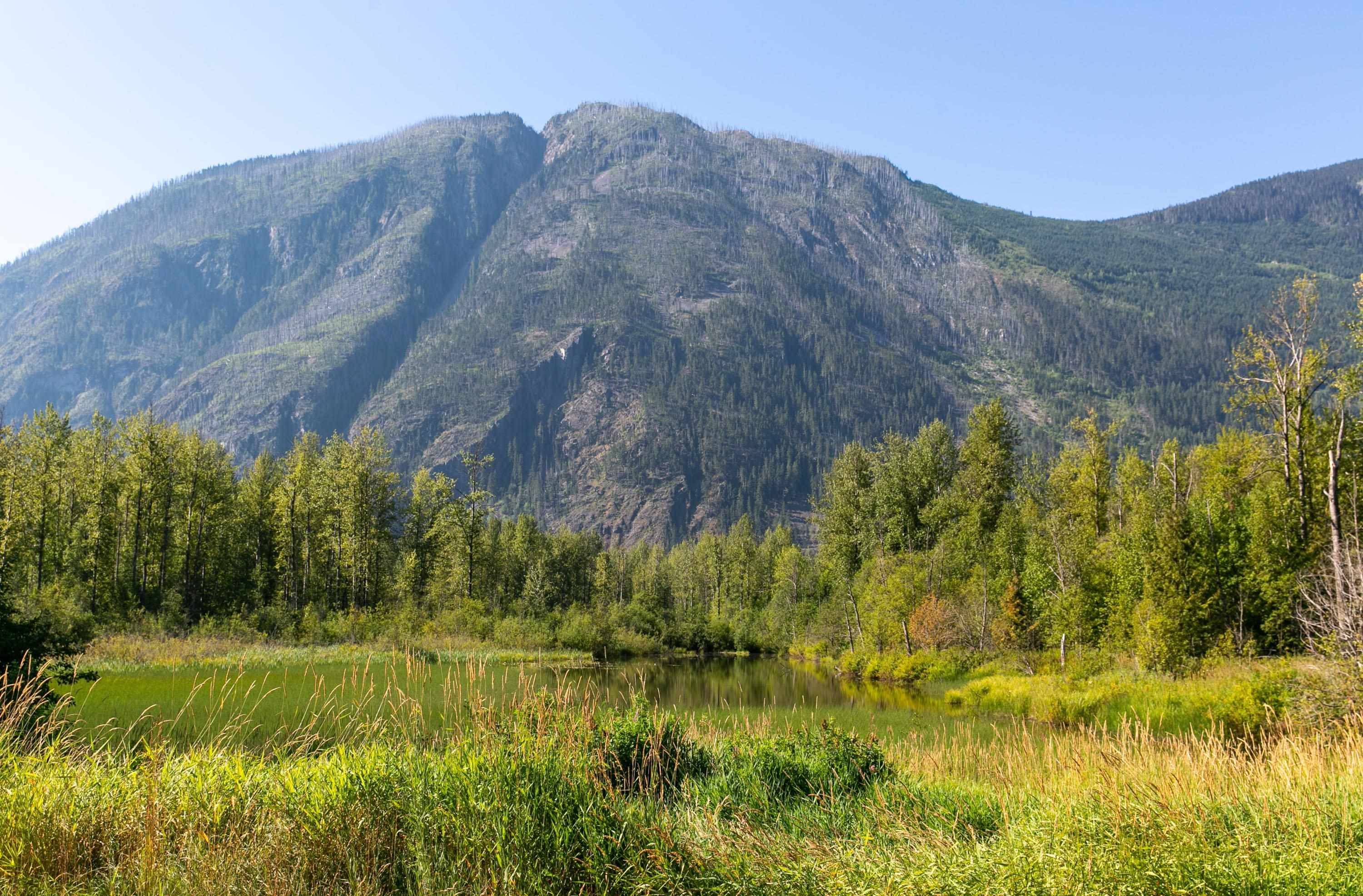 Pemberton, BC V0N 2L0,9505 Lillooet Forest Service RD