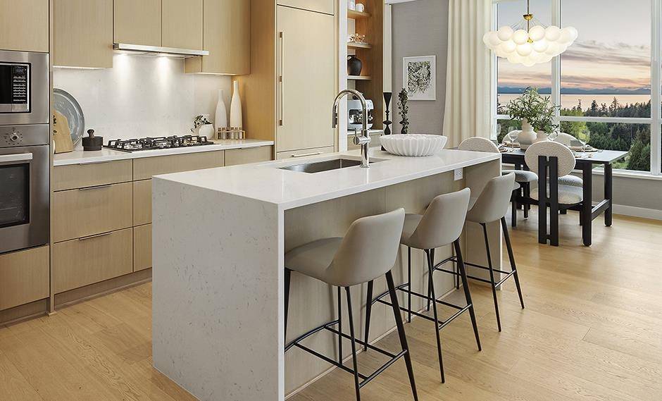 Vancouver, BC V0V 0V0,6036 Gray AVE #811