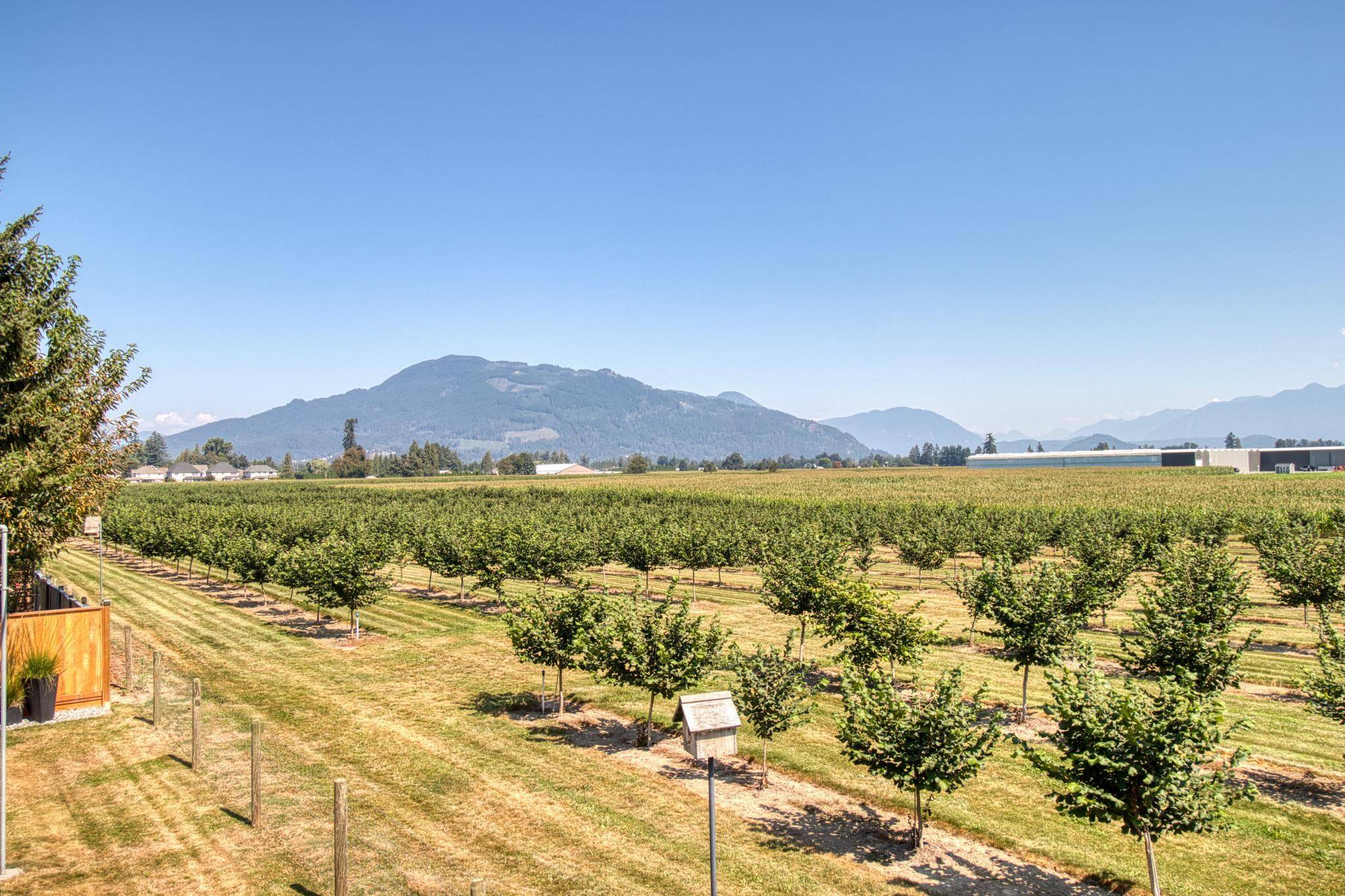 Chilliwack, BC V2P 6B9,10254 Wedgewood DR