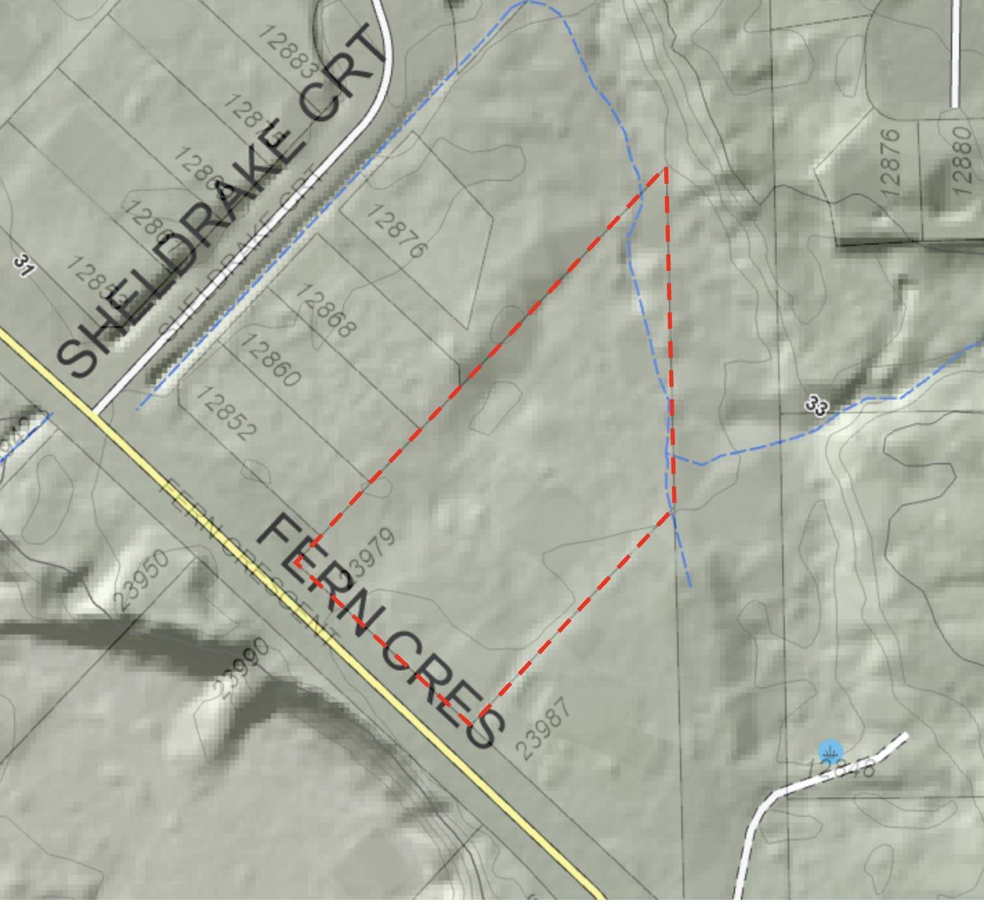 Maple Ridge, BC V4R 2R7,23979 Fern CRES