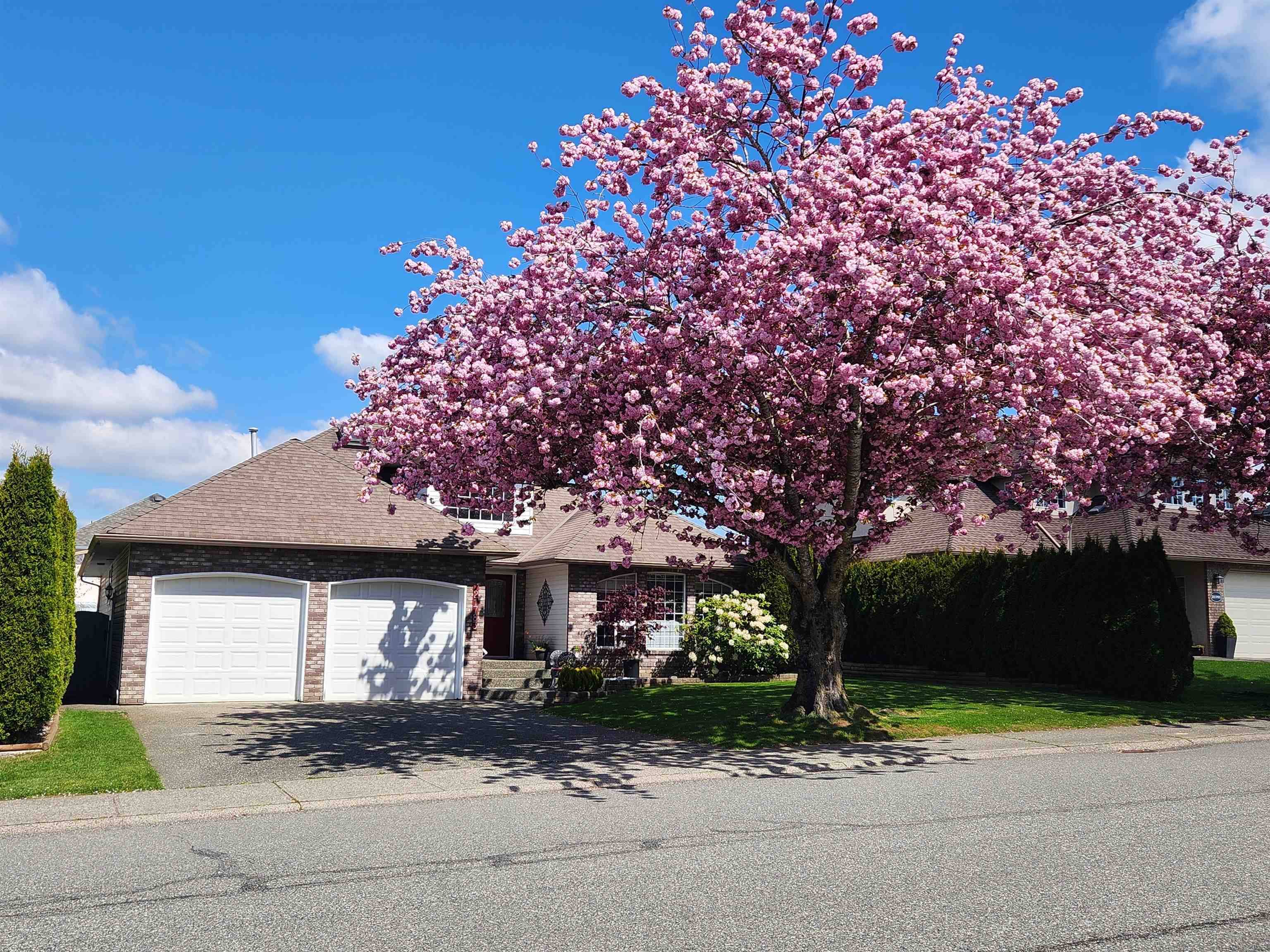 Langley, BC V3A 3J5,21783 46 AVE
