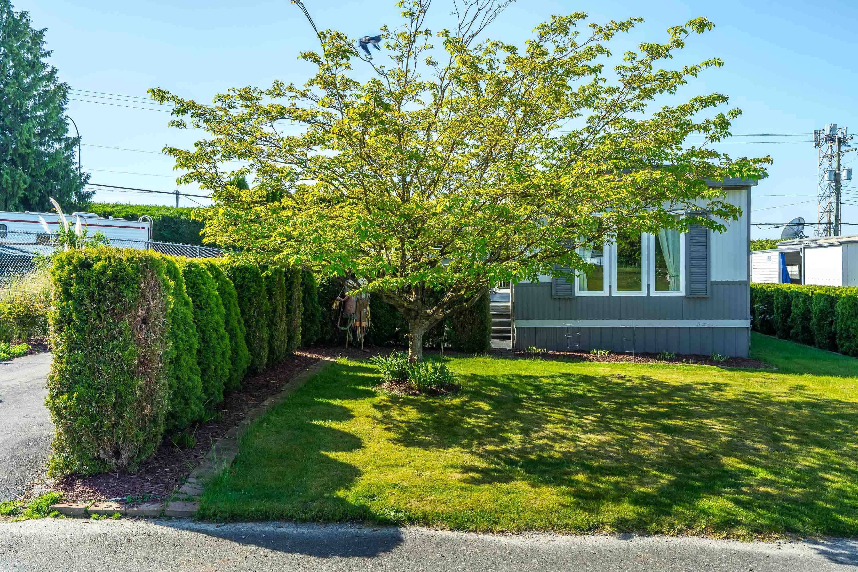 Abbotsford, BC V2T 6M4,2035 Martens ST #55