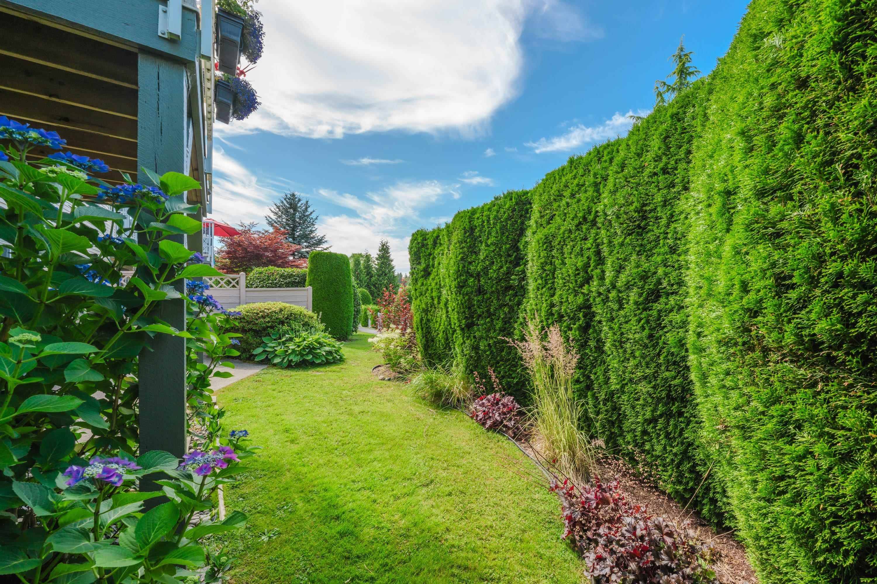 Langley, BC V1M 2K3,9012 Walnut Grove DR #46