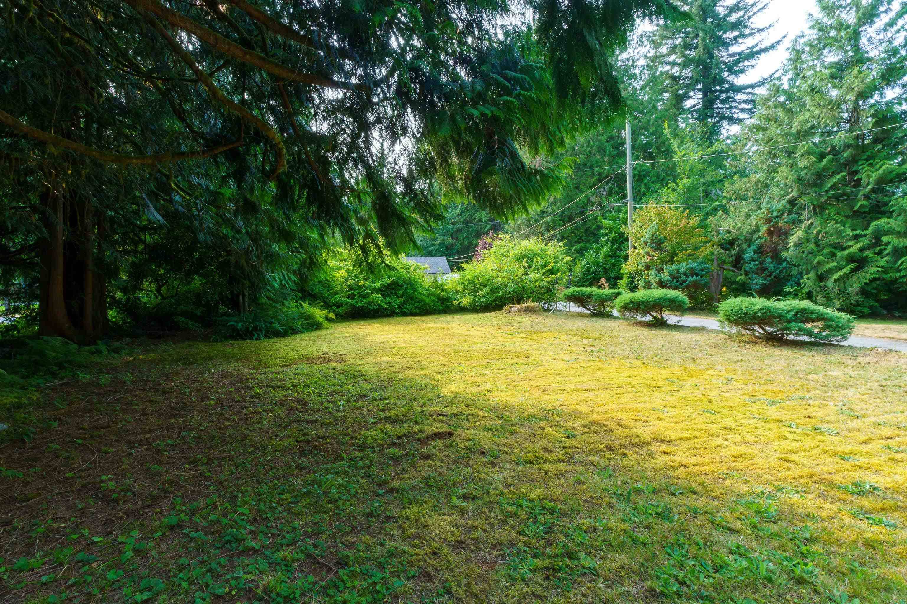 Maple Ridge, BC V2W 1M9,11288 Graham ST