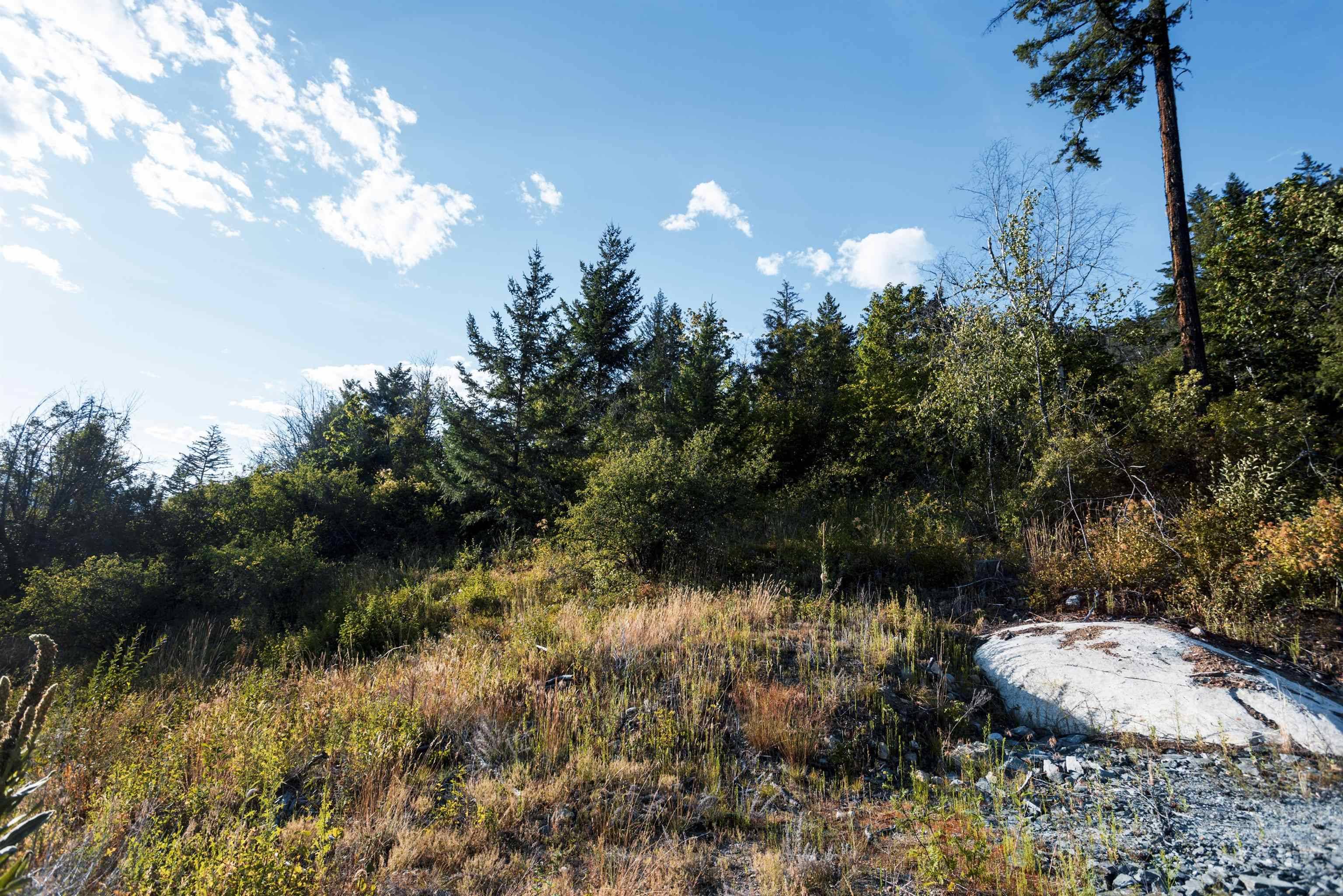 Pemberton, BC V0N 2L3,9002 Sun God Mountain WAY