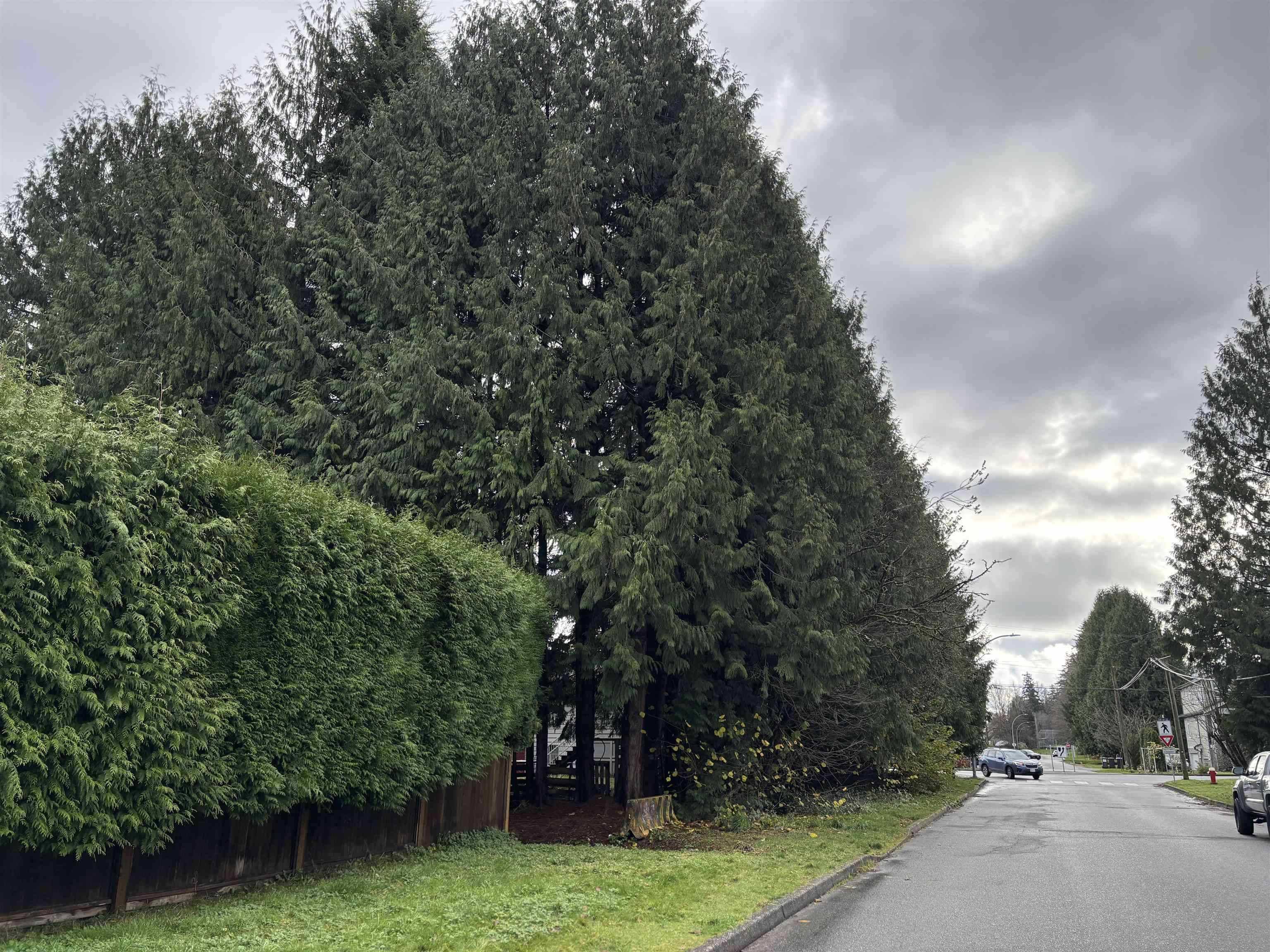 Port Coquitlam, BC V3C 1K8,1791 Langan AVE