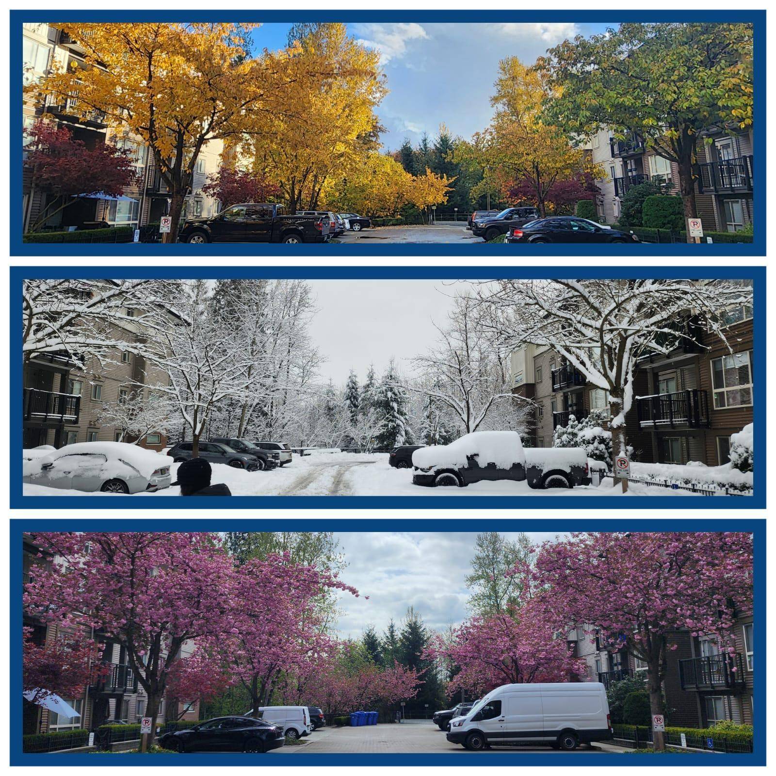 Maple Ridge, BC V2X 8W9,11665 Haney BYP #101