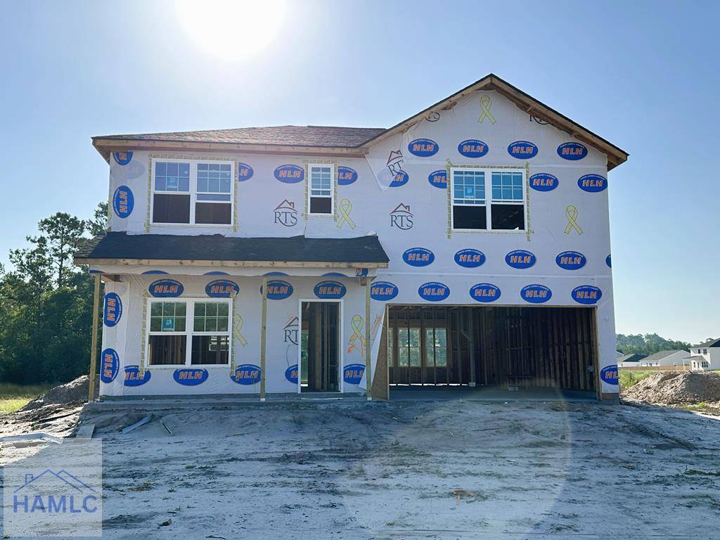 Ludowici, GA 31316,68 Pintail Court